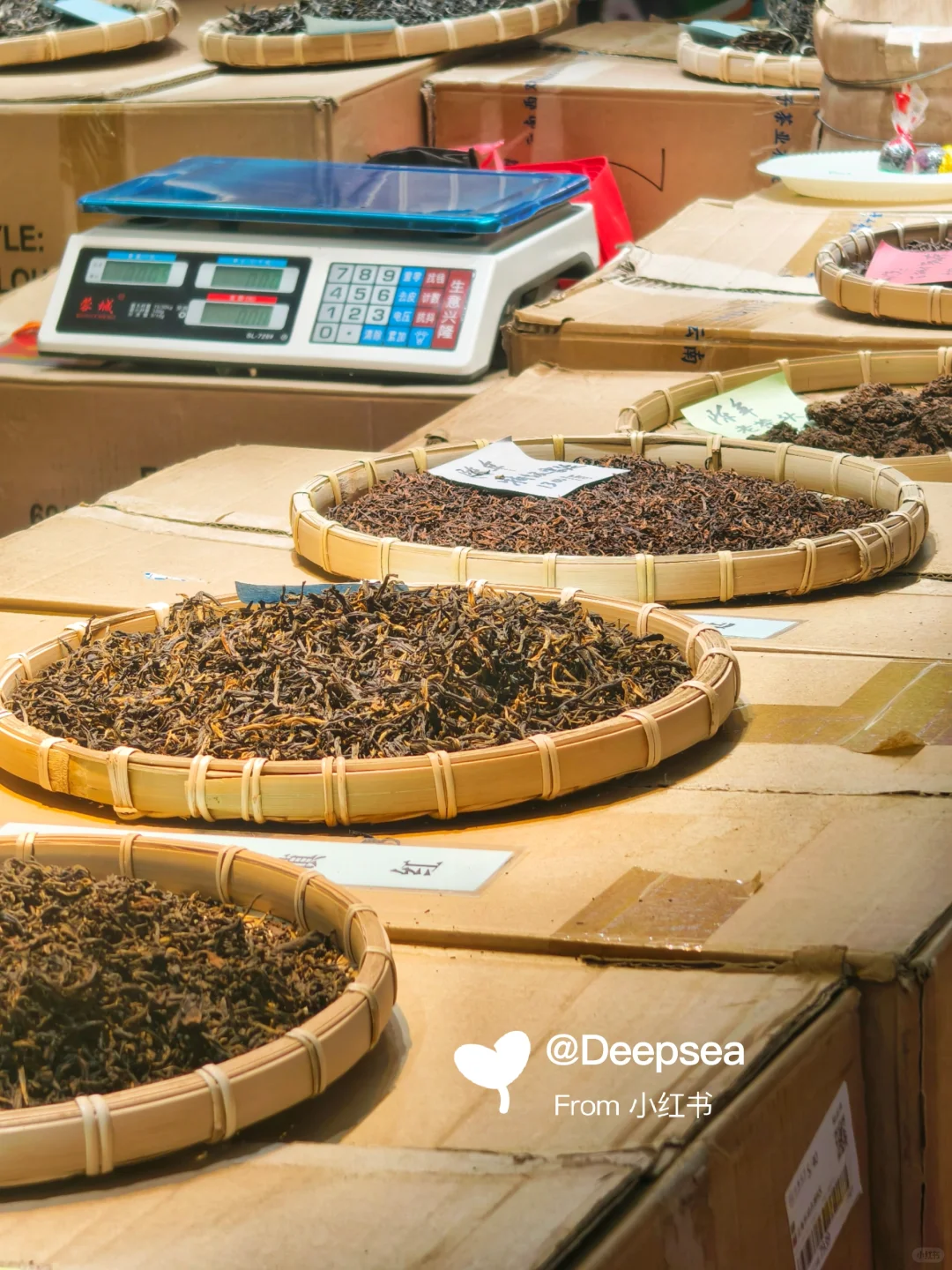 辽宁工业展览馆⛩️