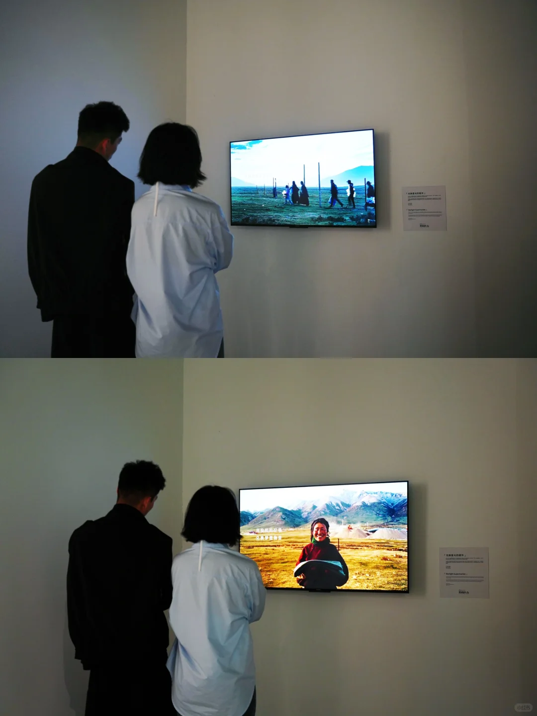 五一必打卡！魔都zui治愈艺术展