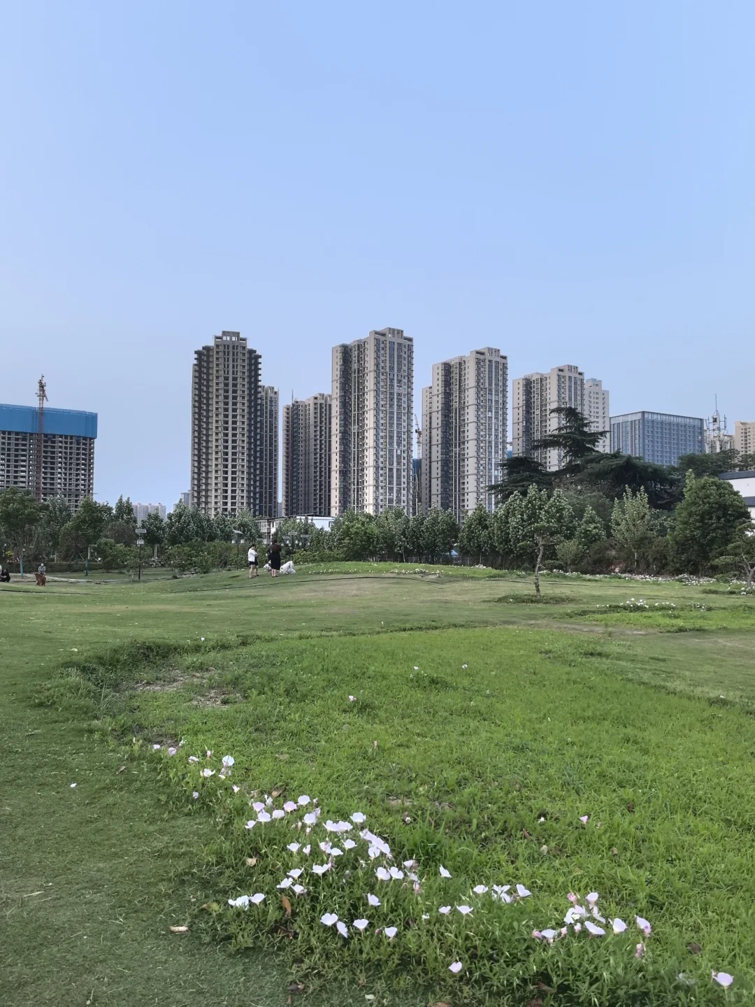 南阳五一怕挤不出游的可以去解放广场?‍