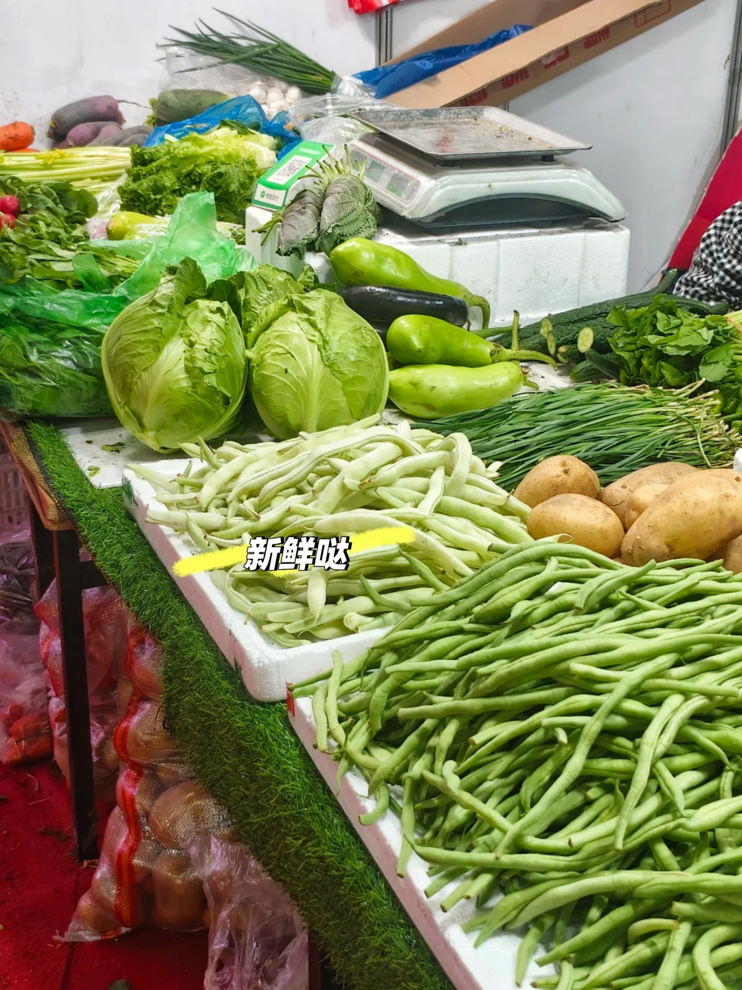 辽宁工业展览馆⛩️
