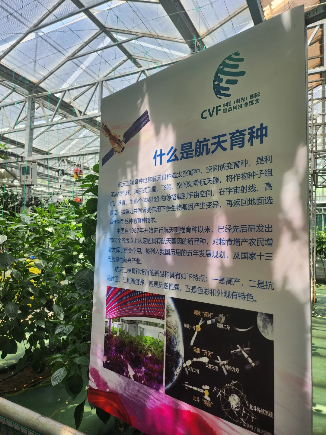 50元门票解锁农业黑科技-寿光蔬菜博览会