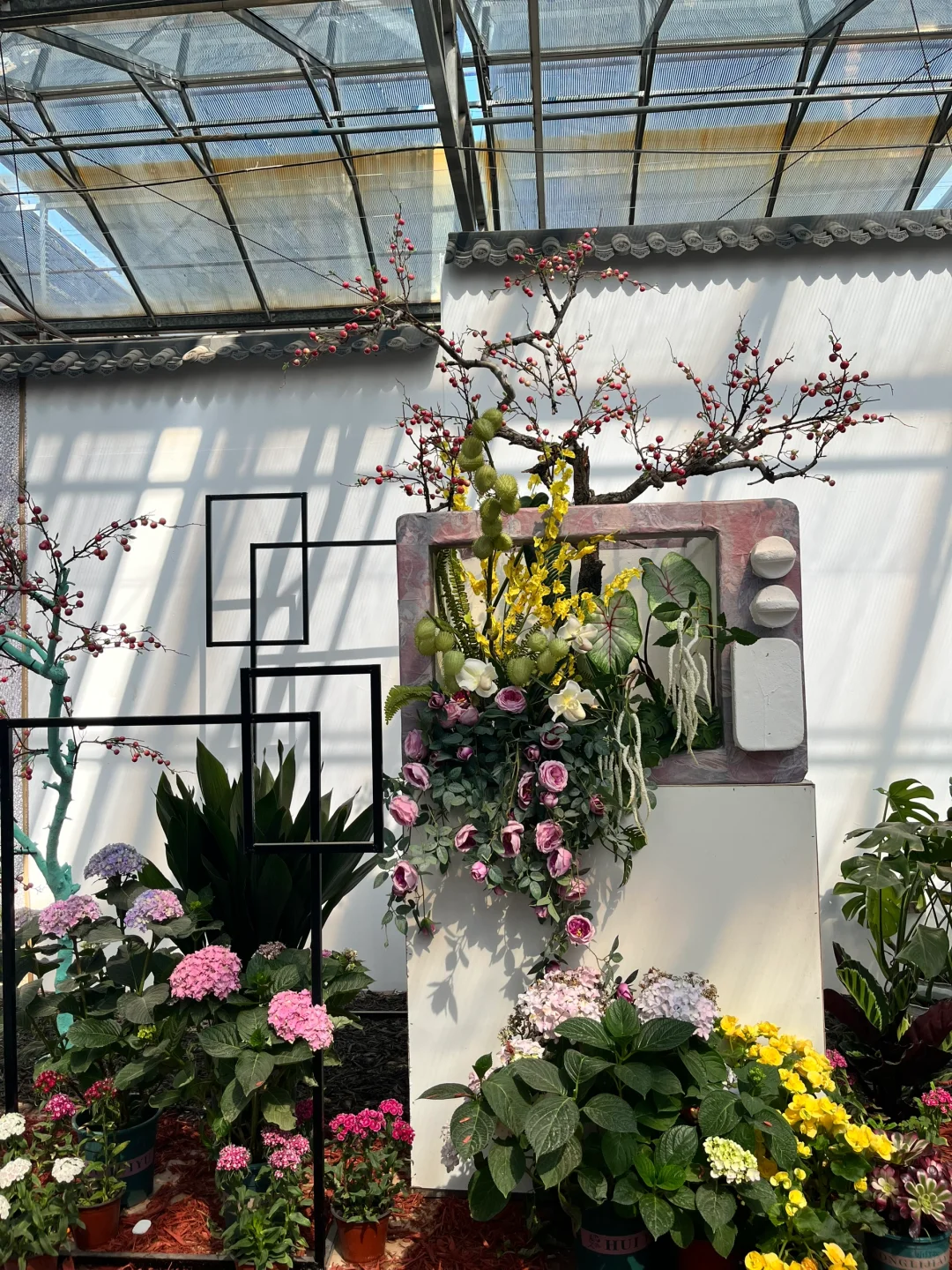 来寿光蔬菜博览会啦～