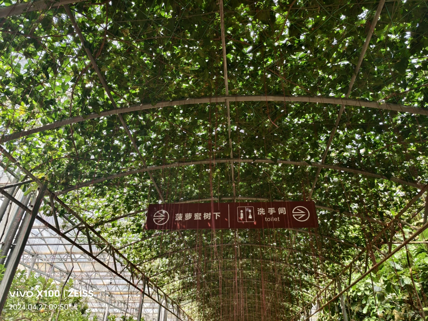 寿光第二十五届蔬菜科技博览会,大大的惊喜