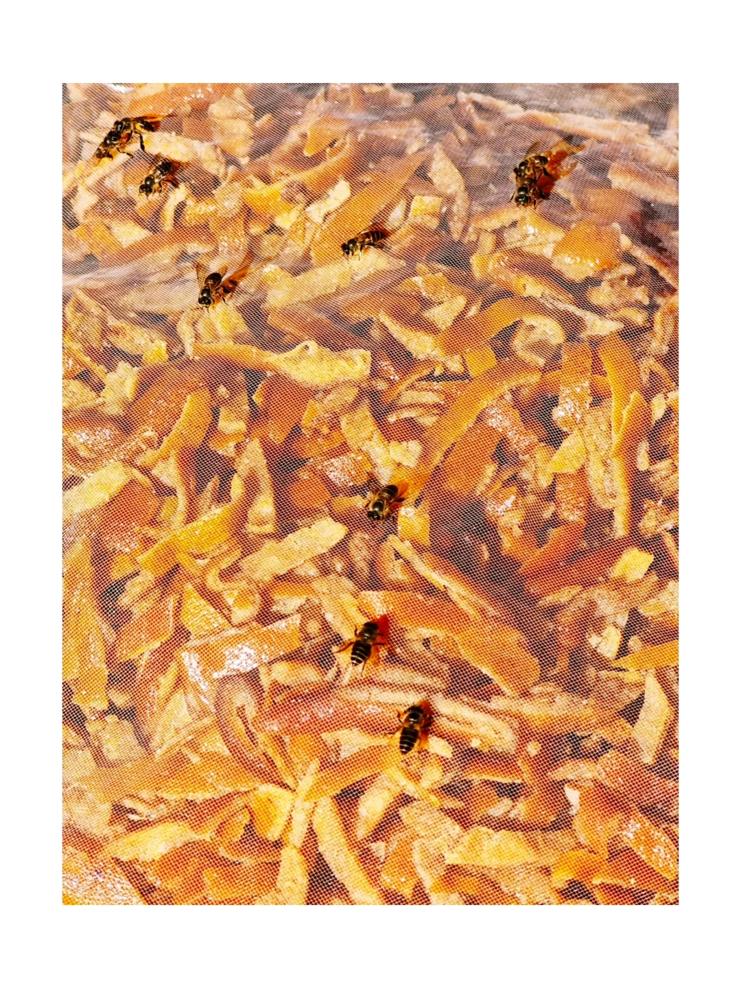 第二次参加影像上海艺术博览会