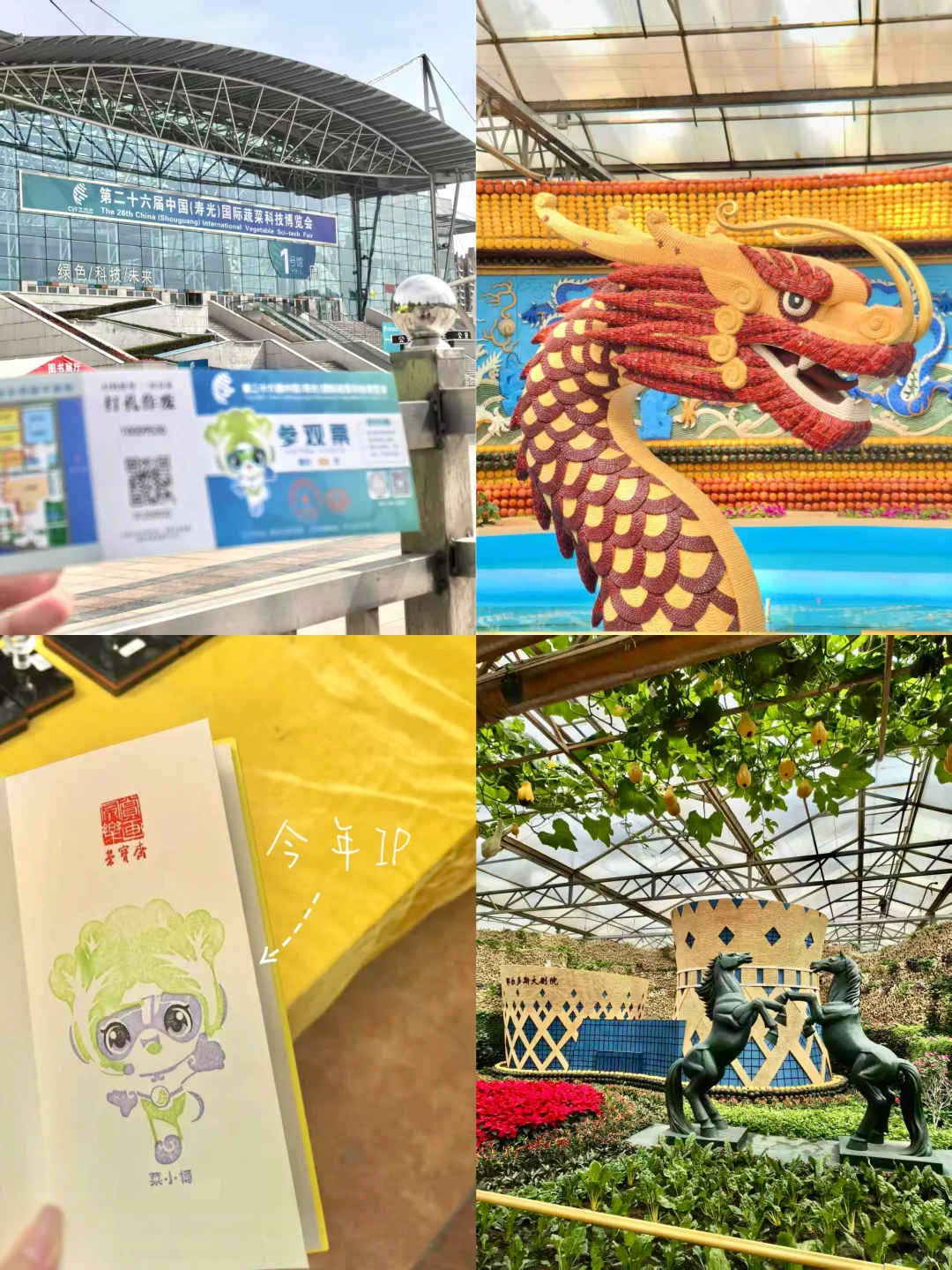 寿光!蔬菜博览会!!!?
