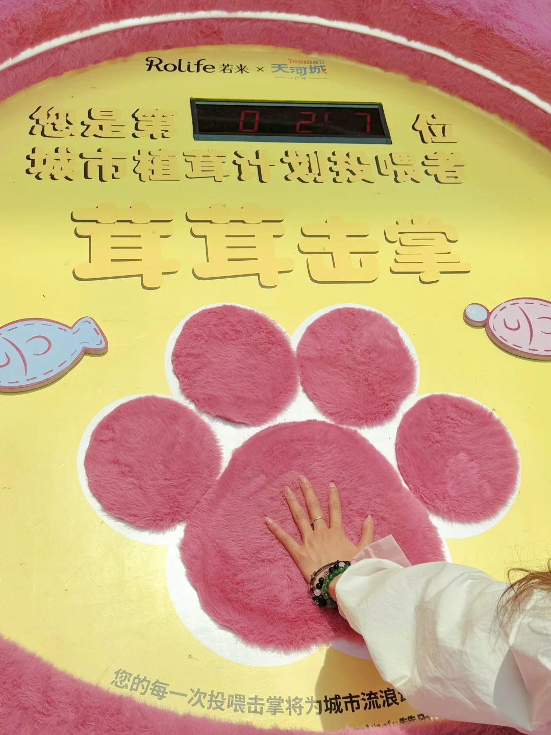 广州?新展｜超好拍!! 被巨型猫咪可爱晕??