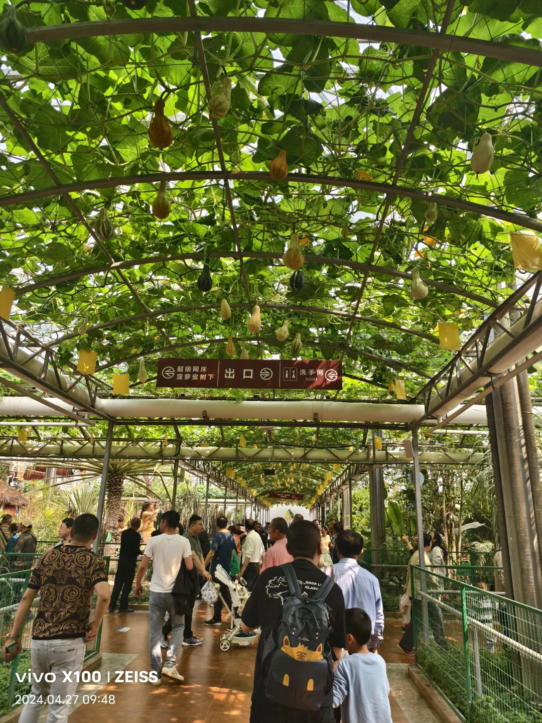 寿光第二十五届蔬菜科技博览会,大大的惊喜