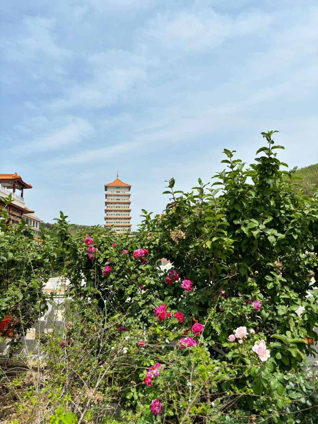 宜兴大觉寺2025海峡两岸素食博览会