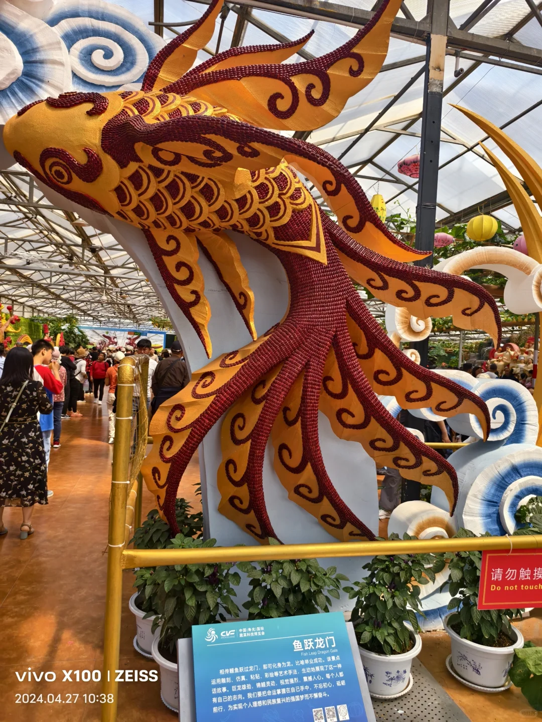 寿光第二十五届蔬菜科技博览会,大大的惊喜