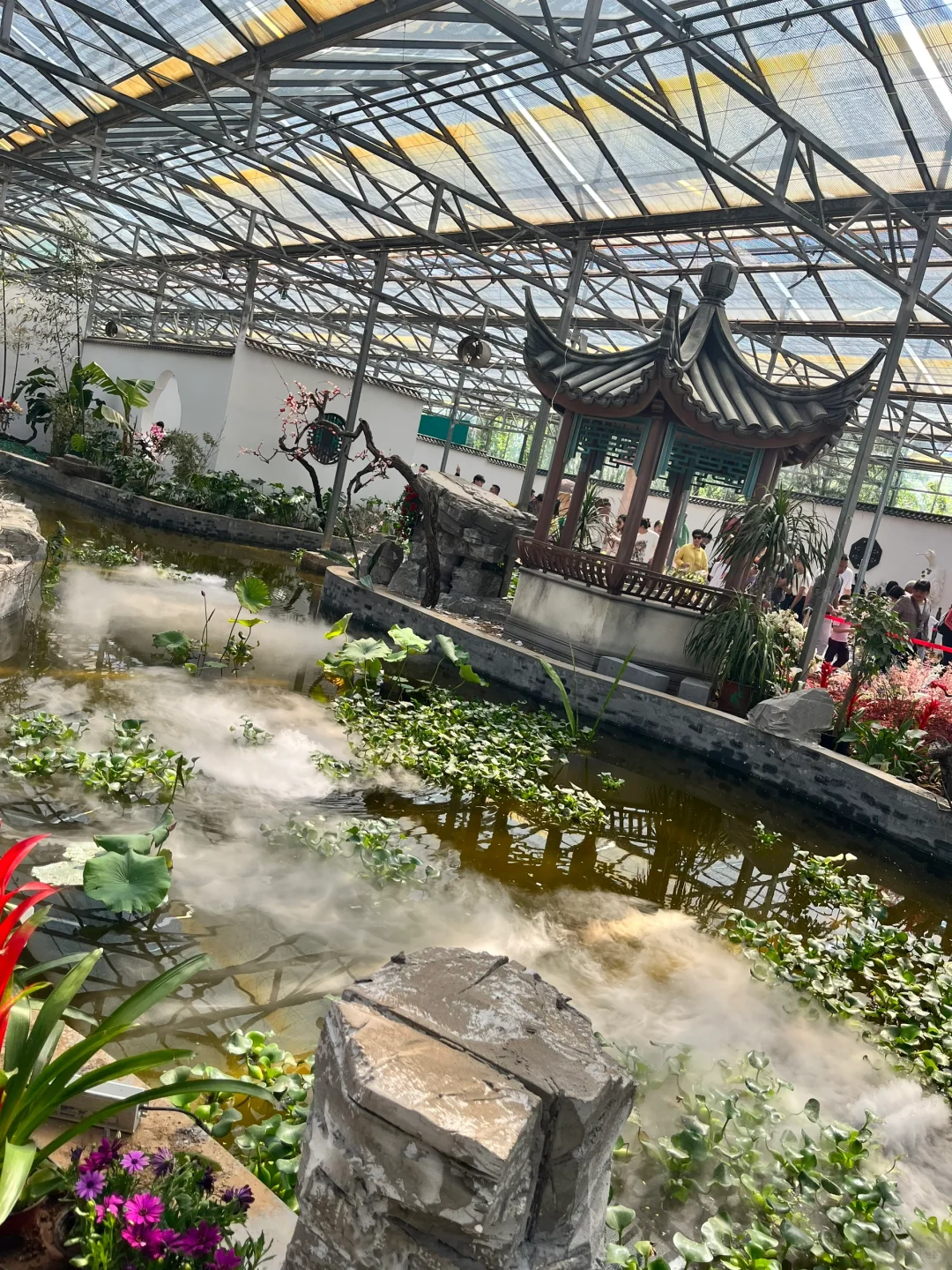 来寿光蔬菜博览会啦～