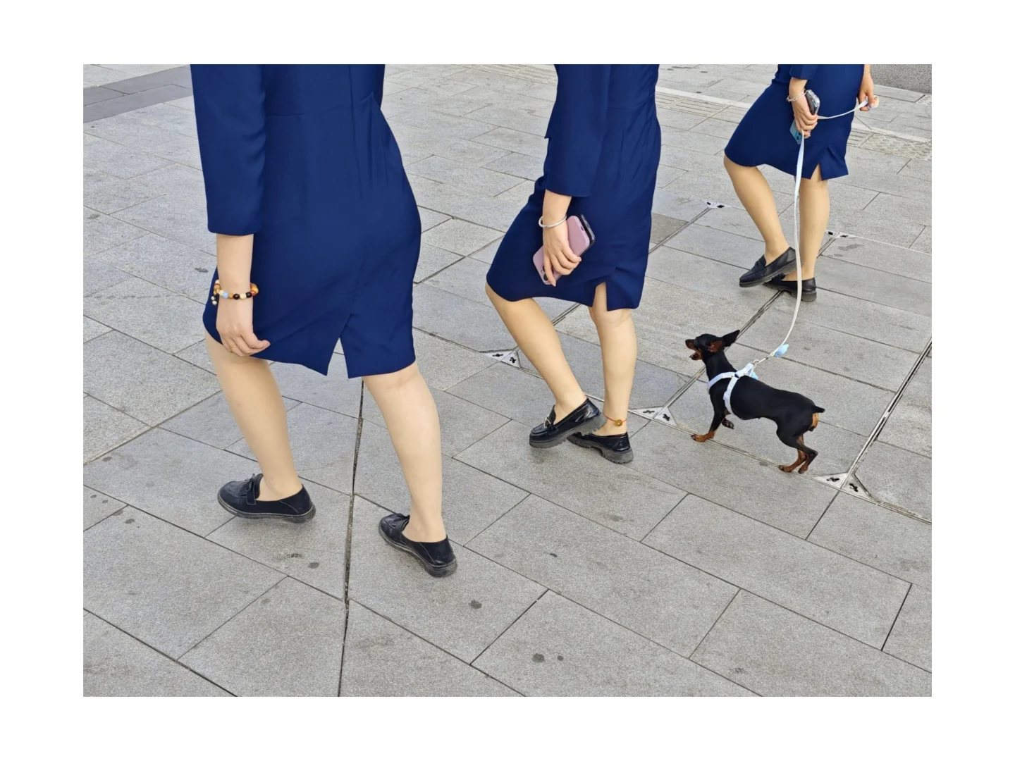 第二次参加影像上海艺术博览会