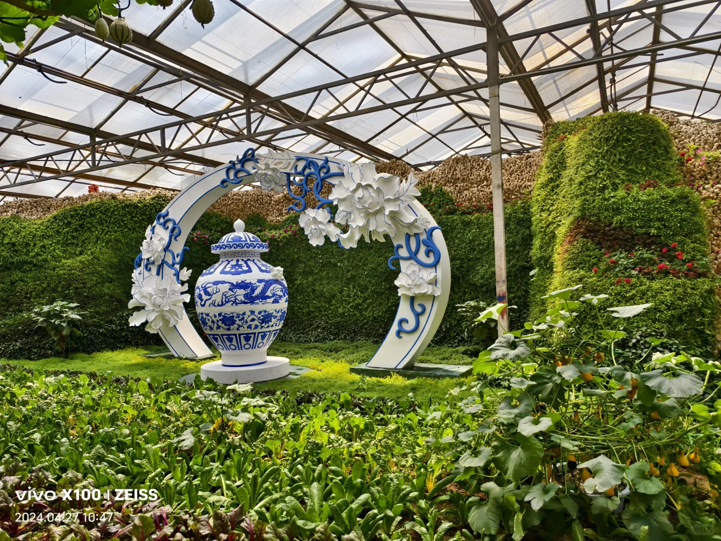 寿光第二十五届蔬菜科技博览会,大大的惊喜