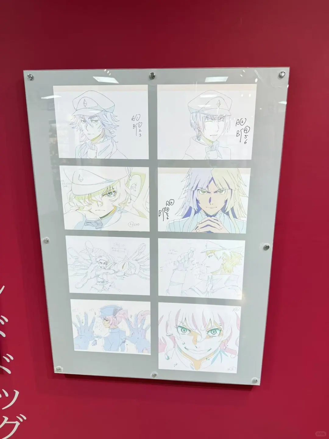 文豪野犬大博览会！