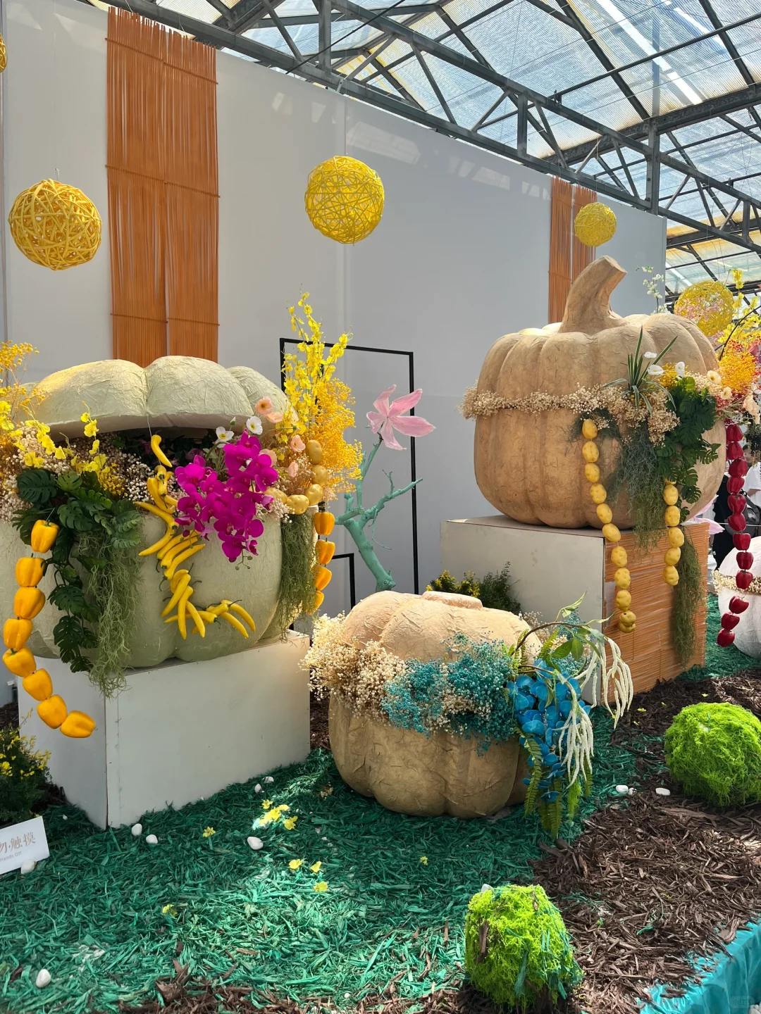 来寿光蔬菜博览会啦～