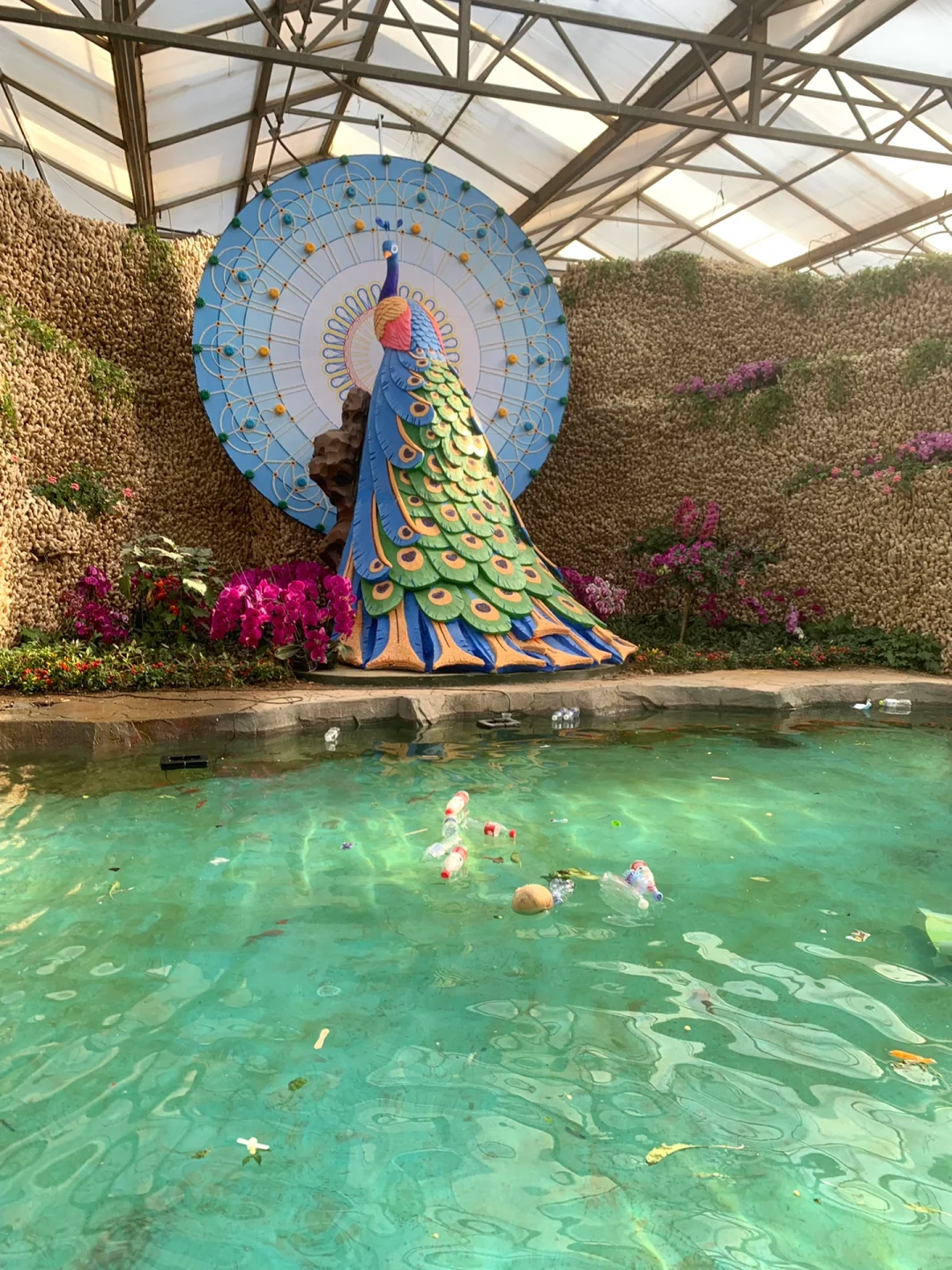 打卡宇宙寿光菜博会 | 值得推荐