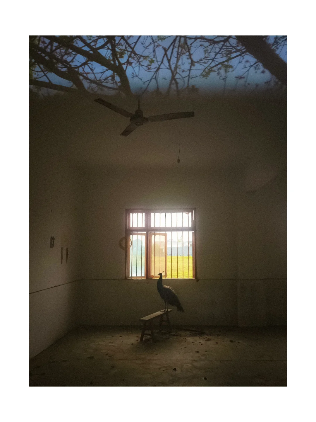 第二次参加影像上海艺术博览会