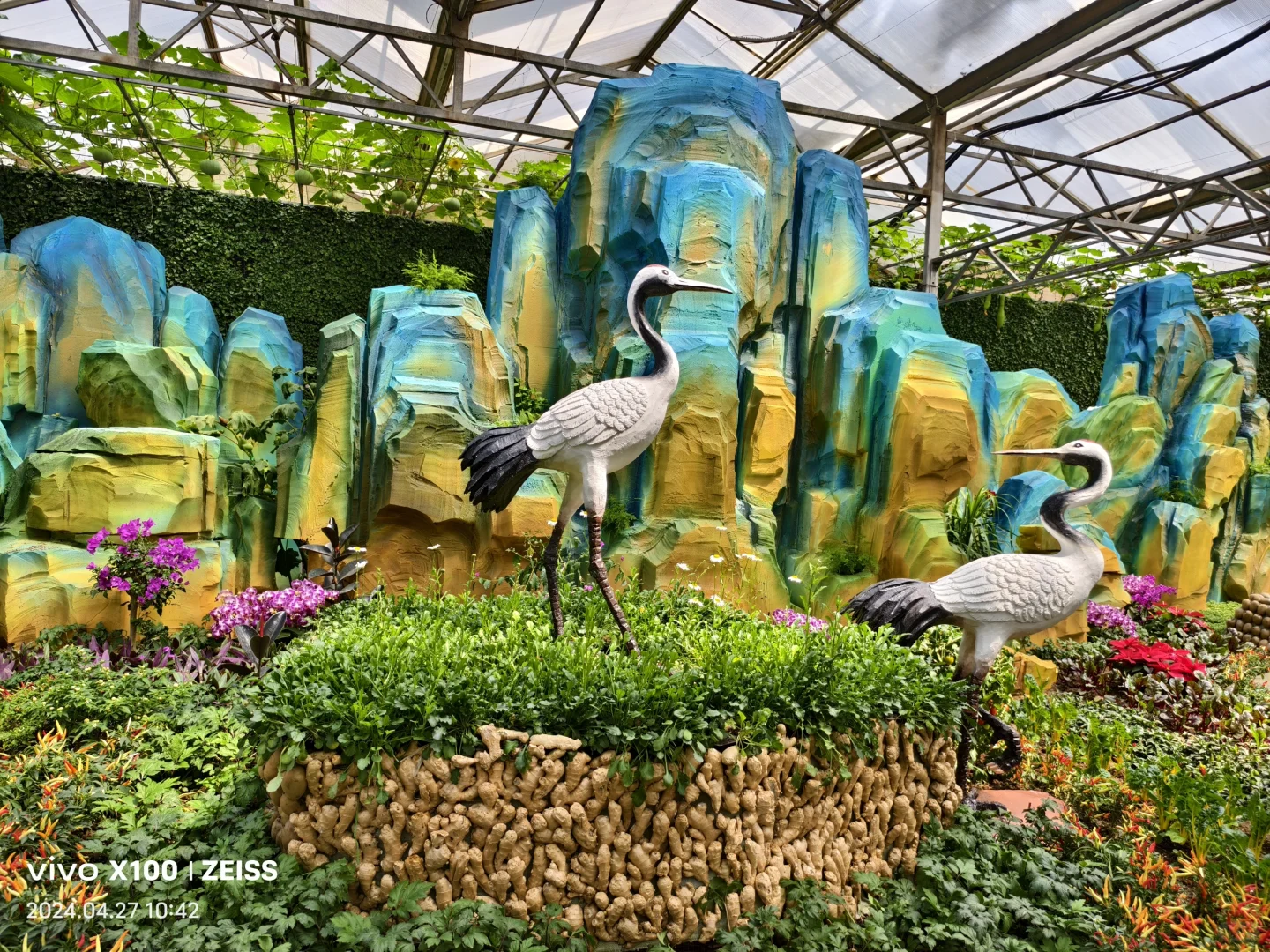 寿光第二十五届蔬菜科技博览会,大大的惊喜