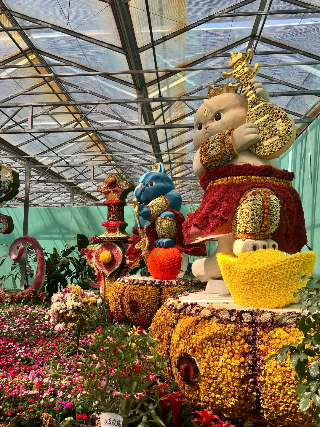 来寿光蔬菜博览会啦～