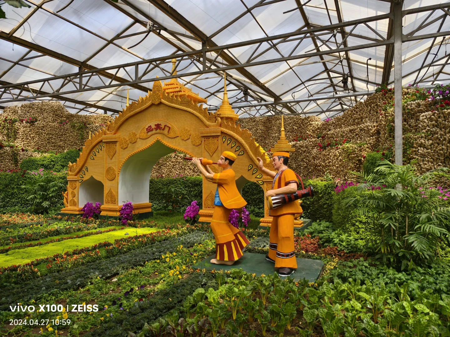 寿光第二十五届蔬菜科技博览会,大大的惊喜