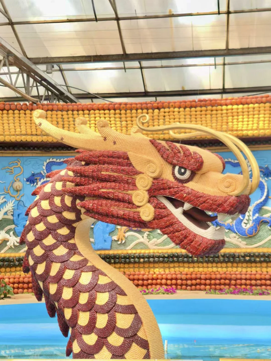 寿光!蔬菜博览会!!!?