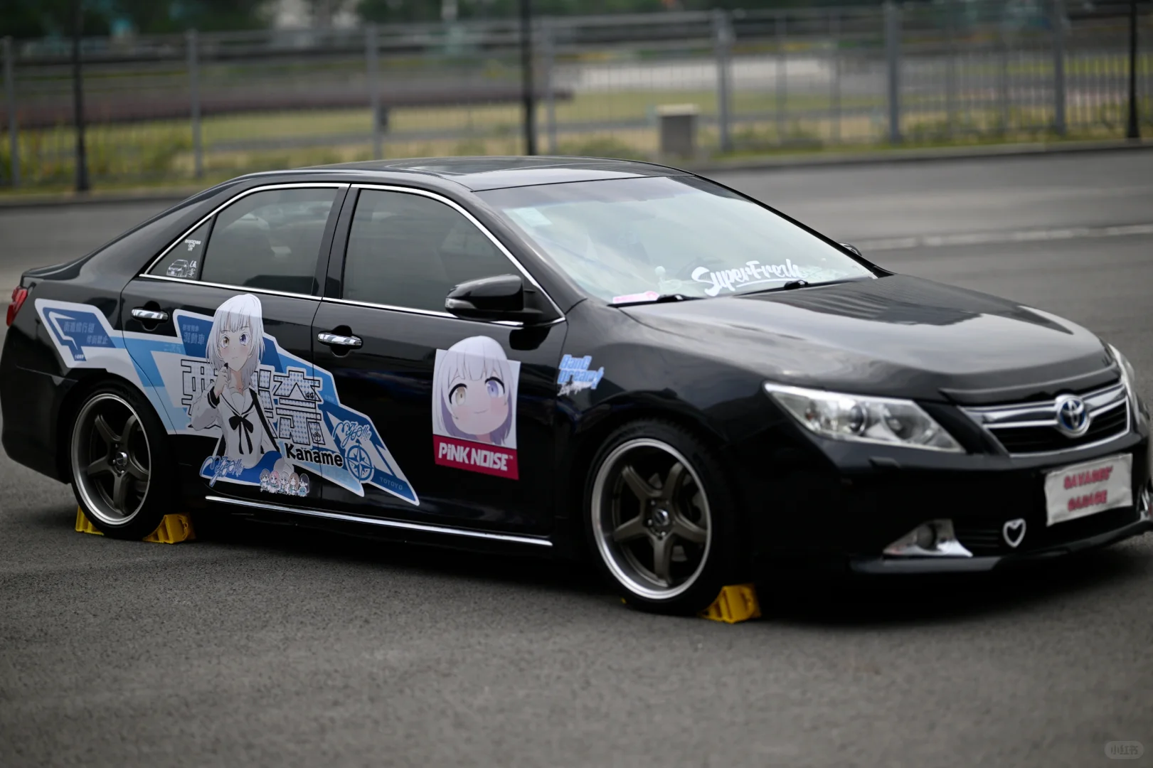 51金陵青年文化博览会返图⑤