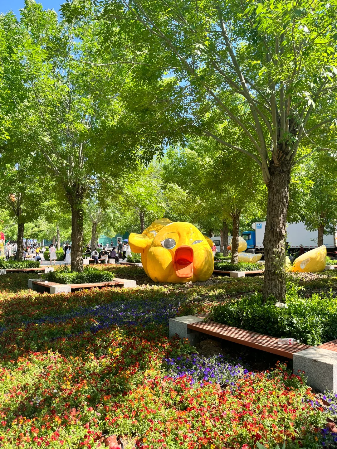 来寿光蔬菜博览会啦～