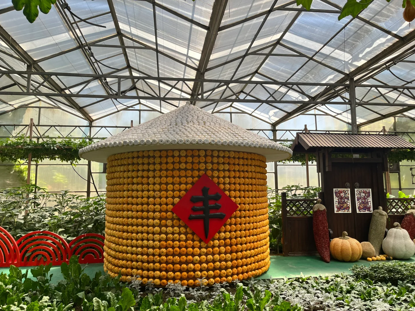 来寿光蔬菜博览会啦～