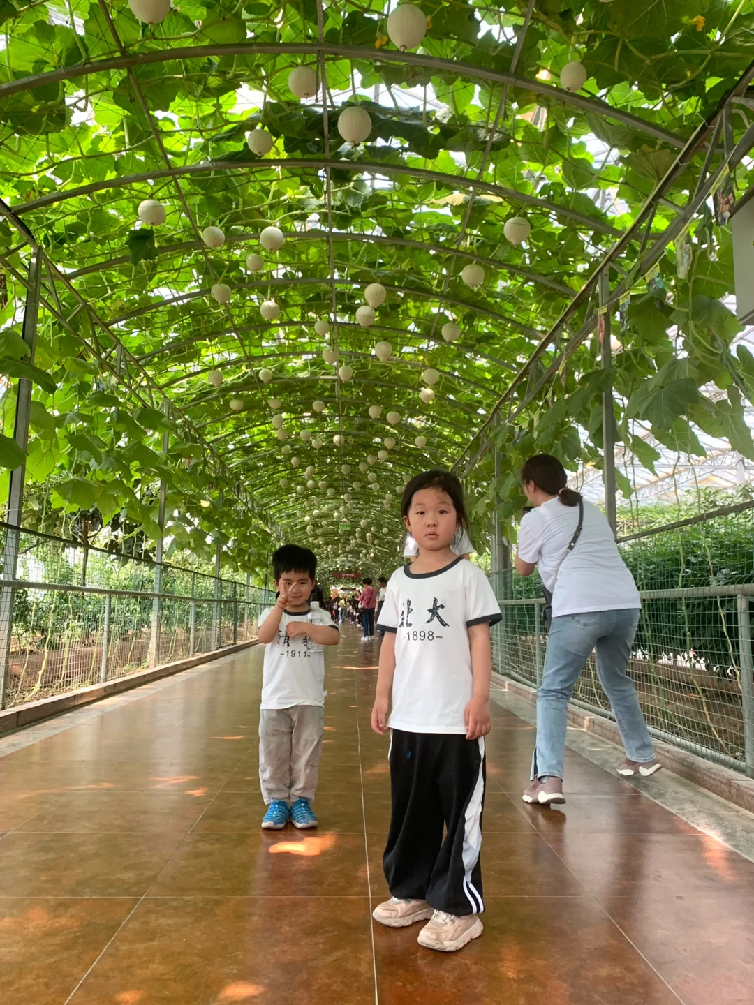打卡宇宙寿光菜博会 | 值得推荐