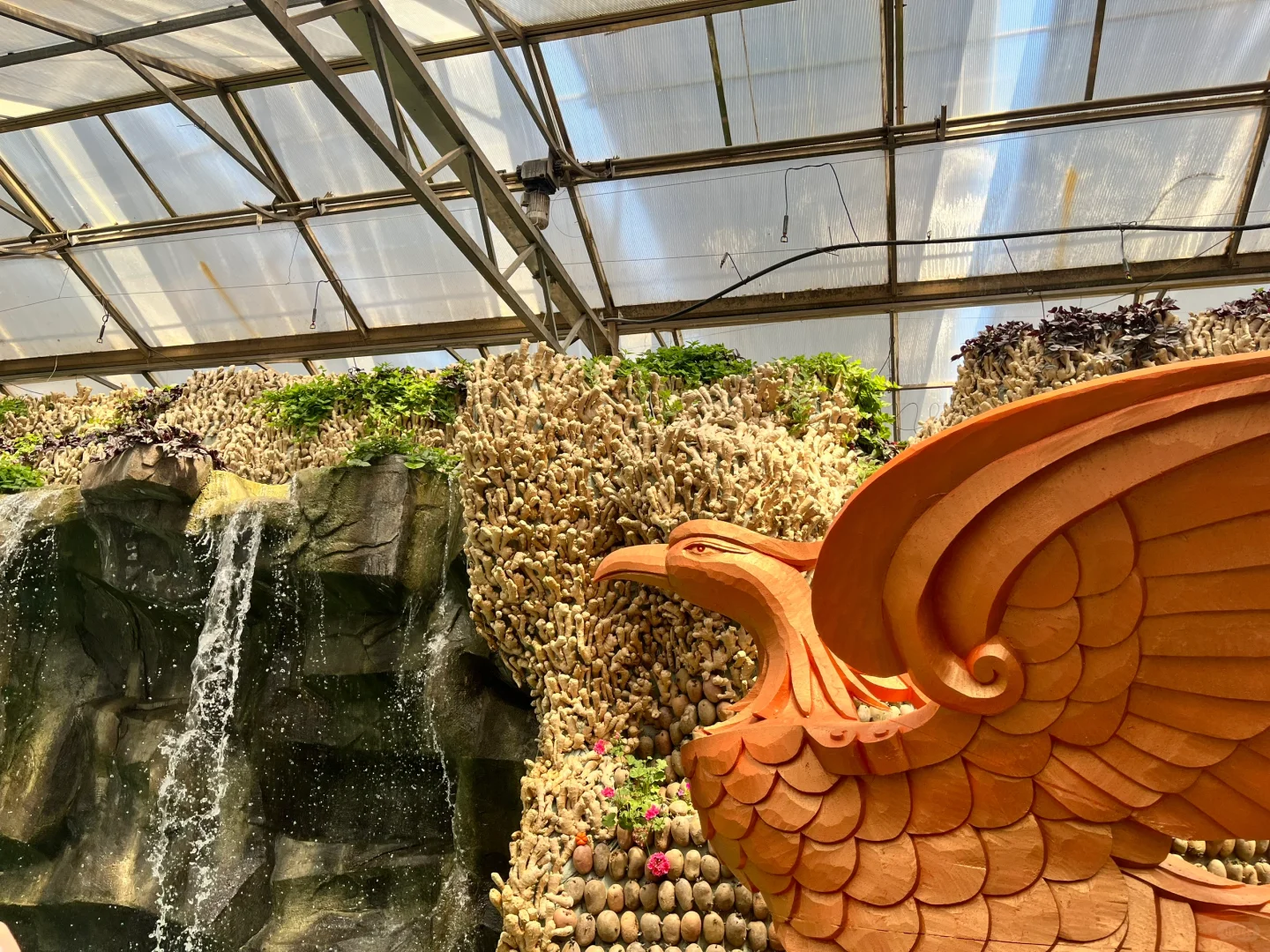 来寿光蔬菜博览会啦～