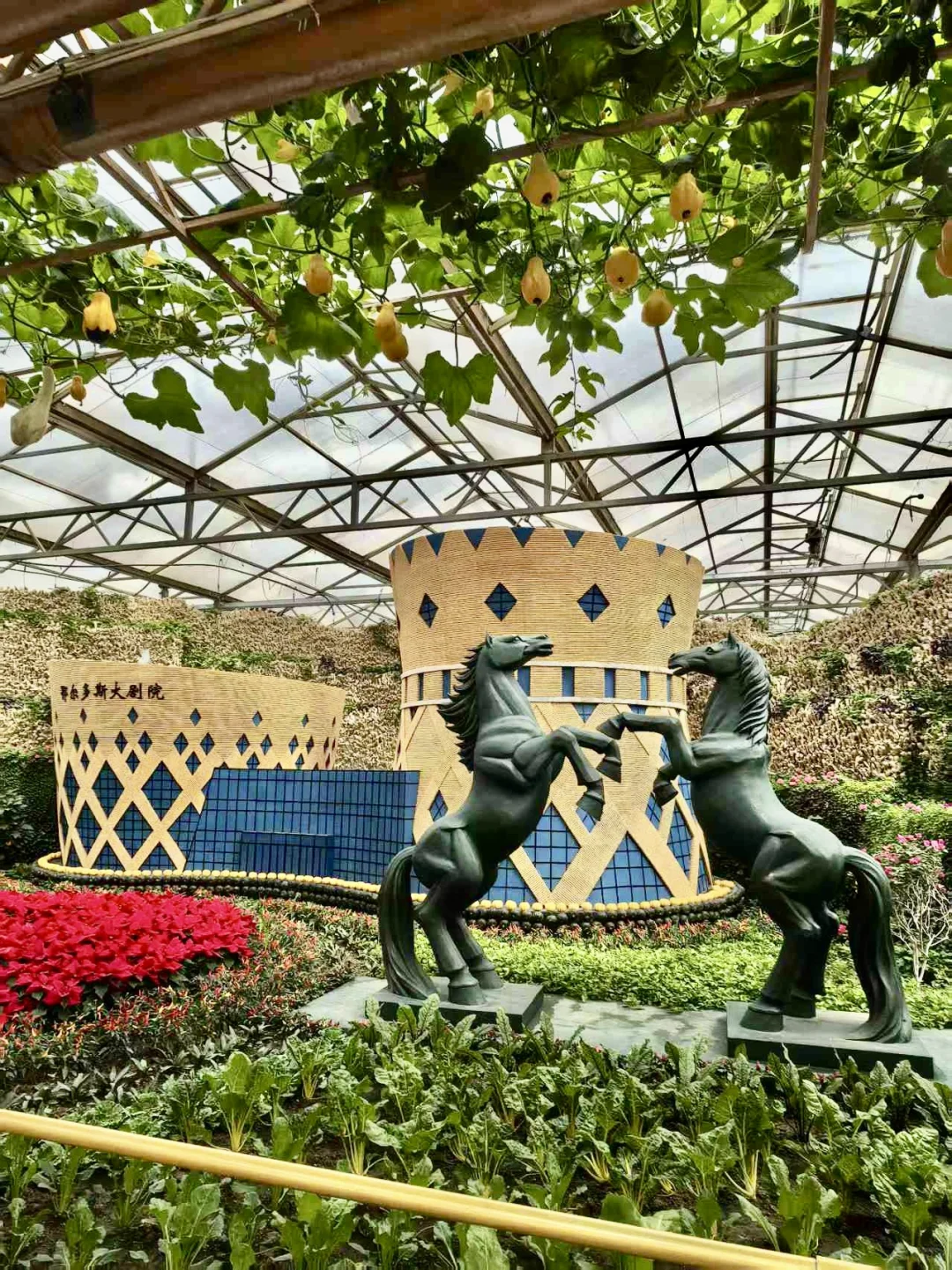 寿光!蔬菜博览会!!!?