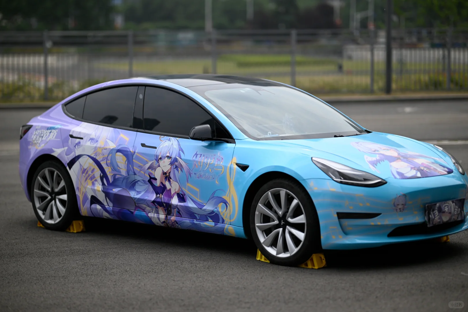 51金陵青年文化博览会返图⑤