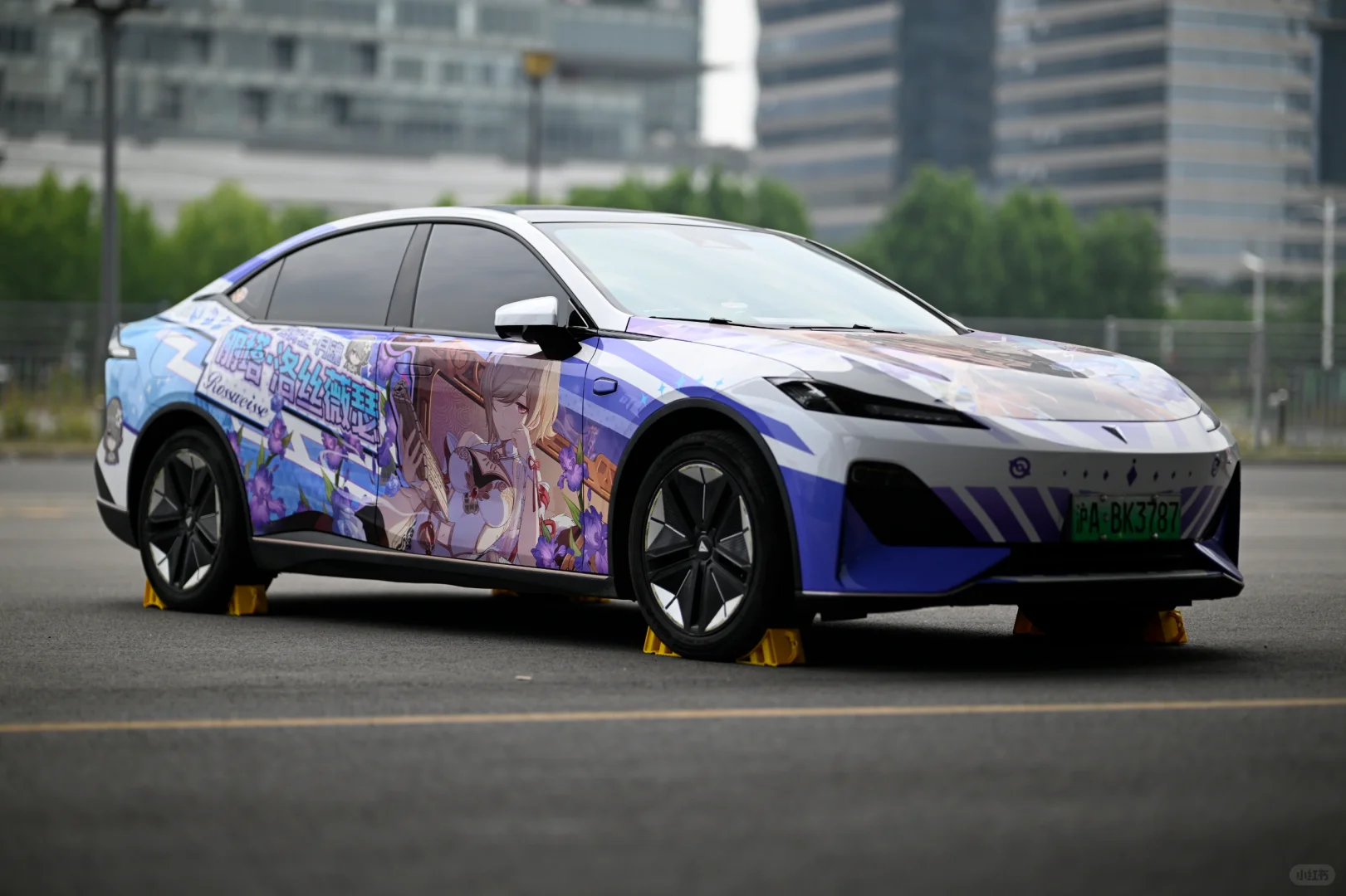 51金陵青年文化博览会返图⑤