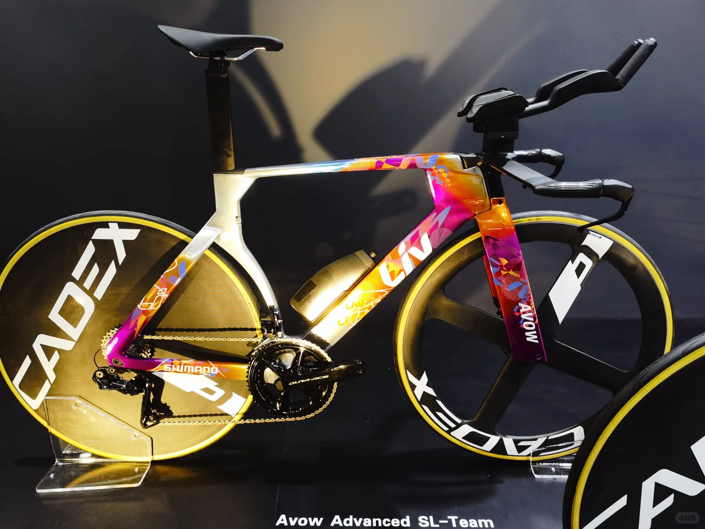 2025中国国际自行车展览会