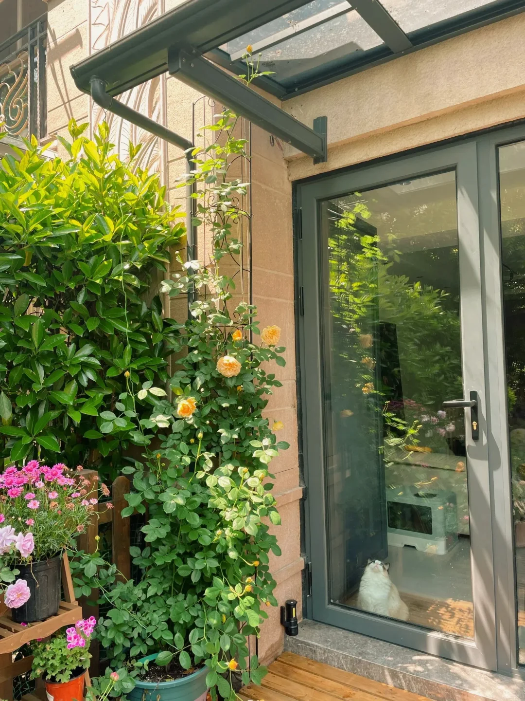 会展片区?房|一楼的花园小院太绝了！