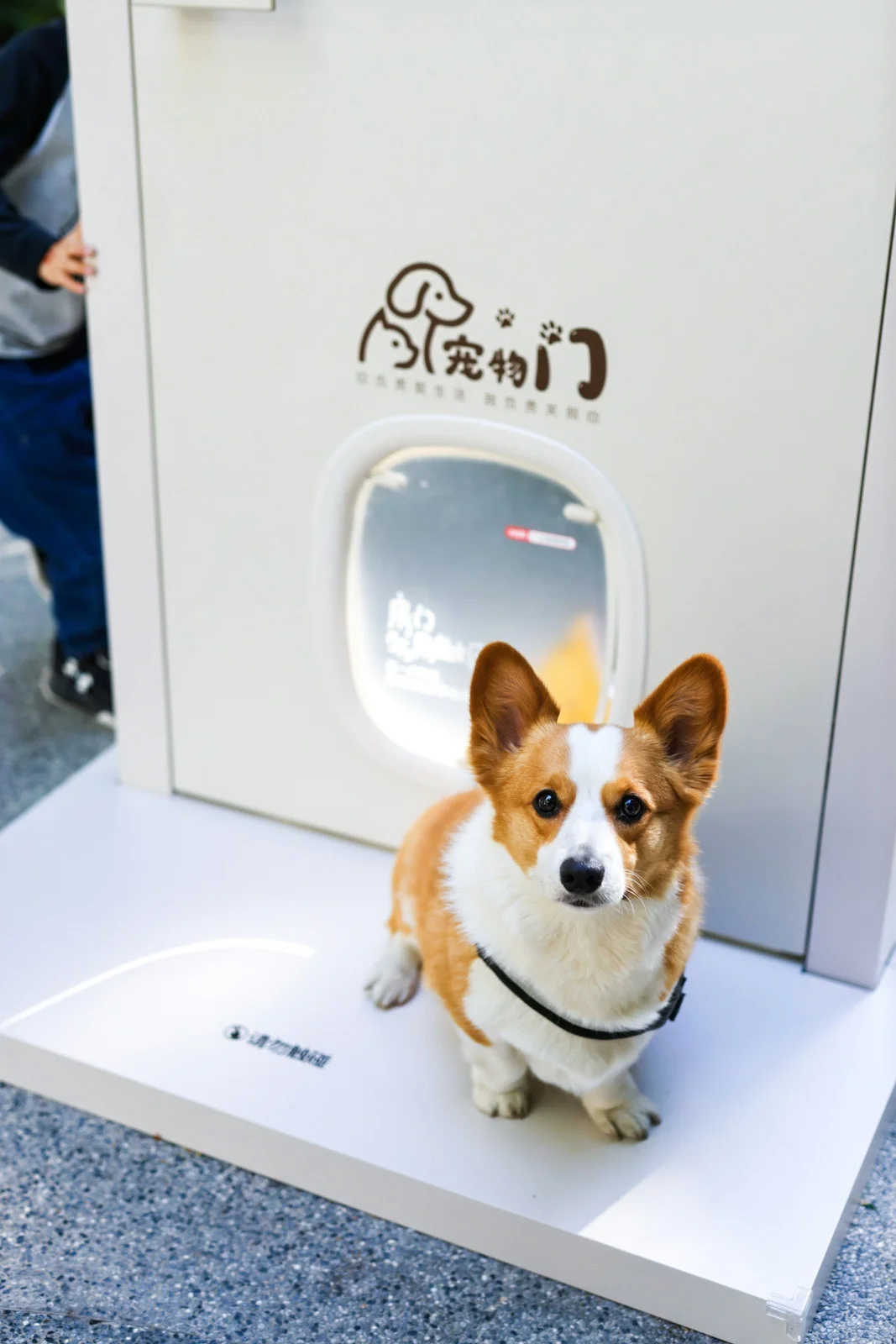 五一去上生新所市集真的氛围感拉满了