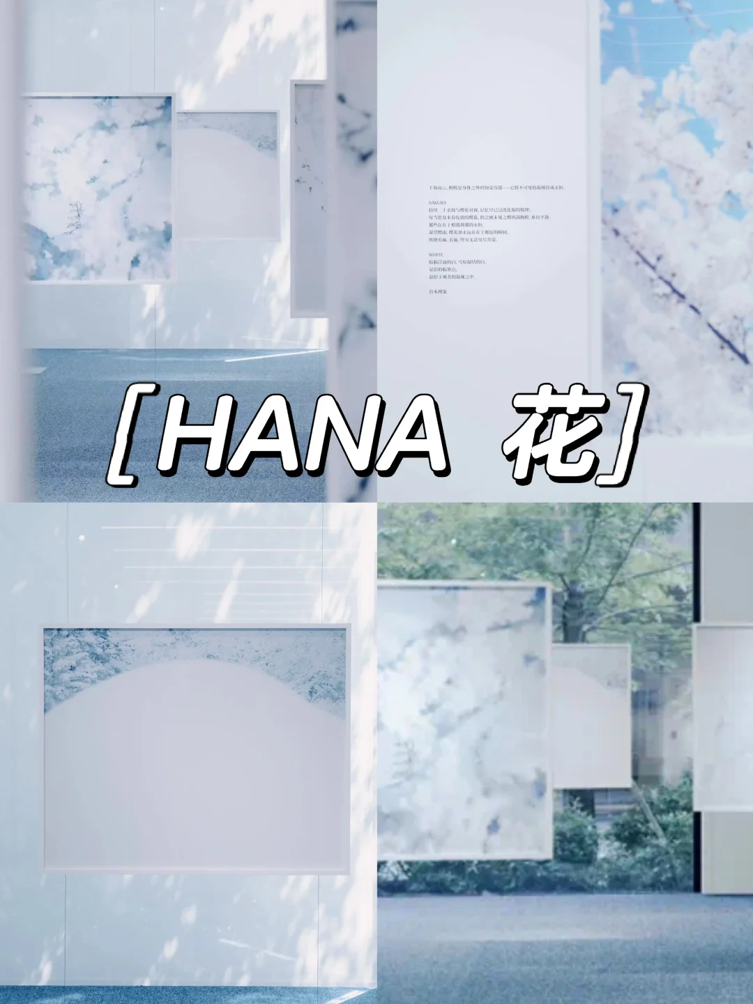 上海五一假期看展合集‼️10+好展值得看❗️