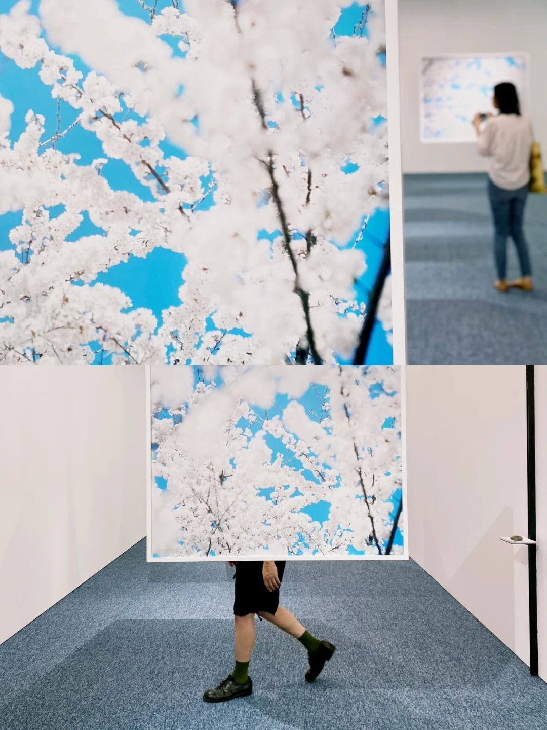 0元看展-上生新所·一面是樱花一面是雪花