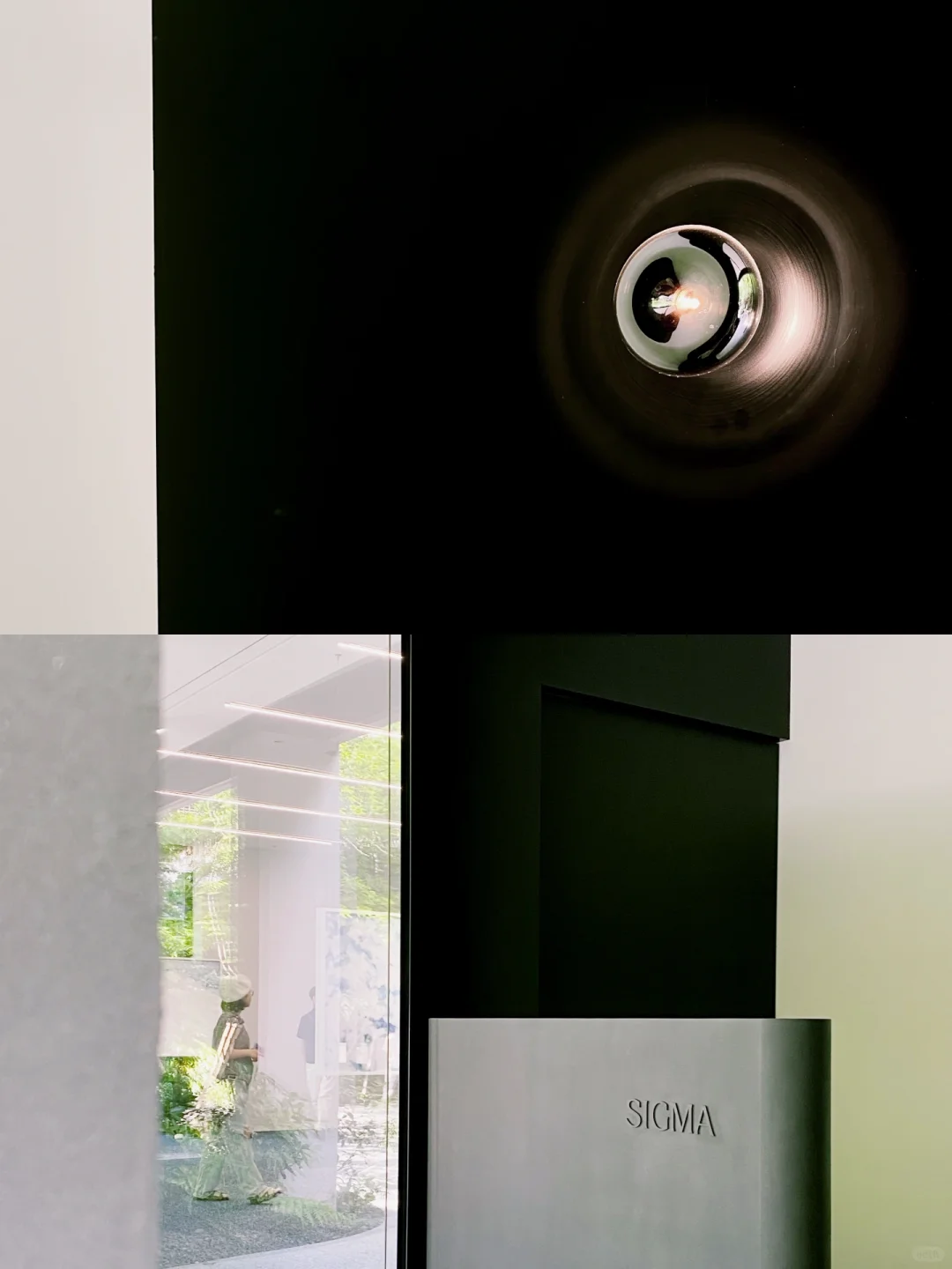 0元看展-上生新所·一面是樱花一面是雪花