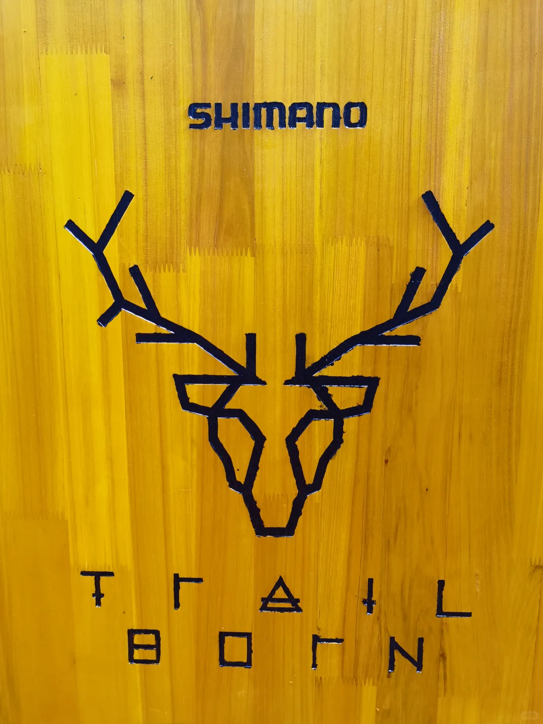 2025中国国际自行车展览会