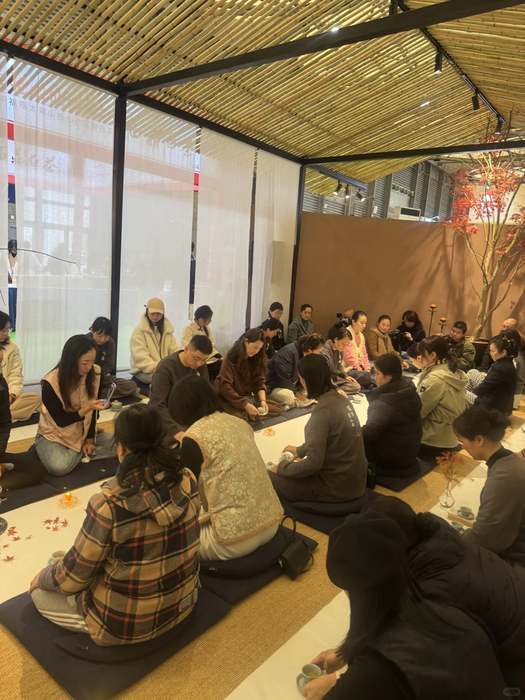 亲临上海茶·禅生活博览会