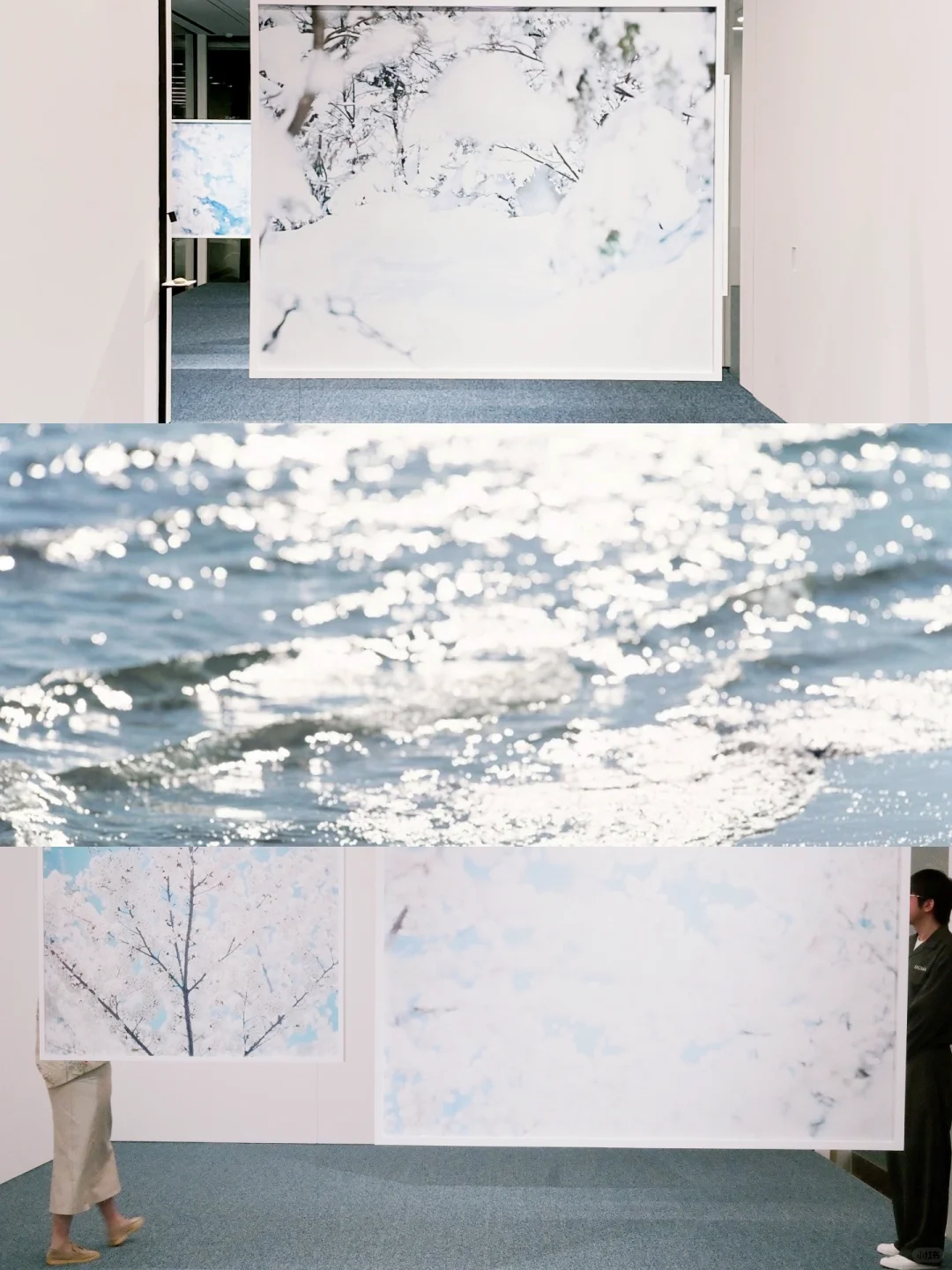 0元看展-上生新所·一面是樱花一面是雪花