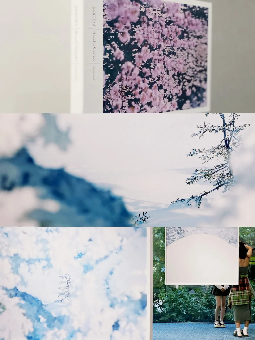 0元看展-上生新所·一面是樱花一面是雪花