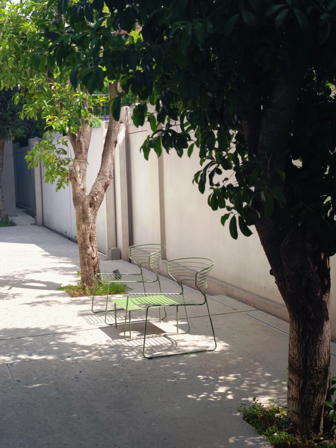 五一新展?一场自然与家具的无声对话！