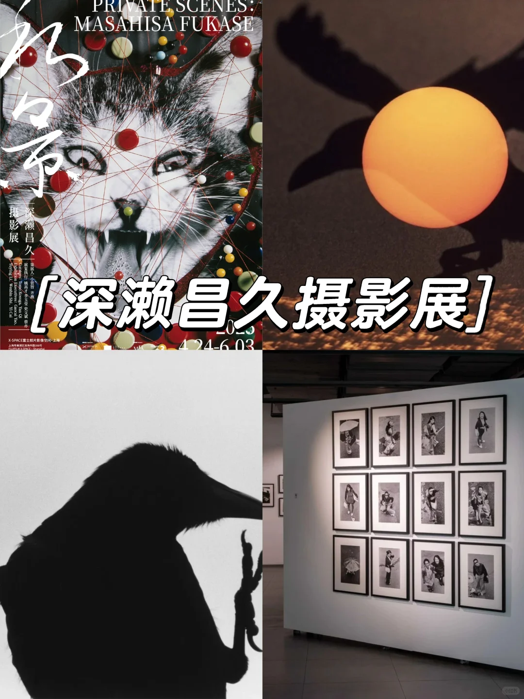 上海五一假期看展合集‼️10+好展值得看❗️