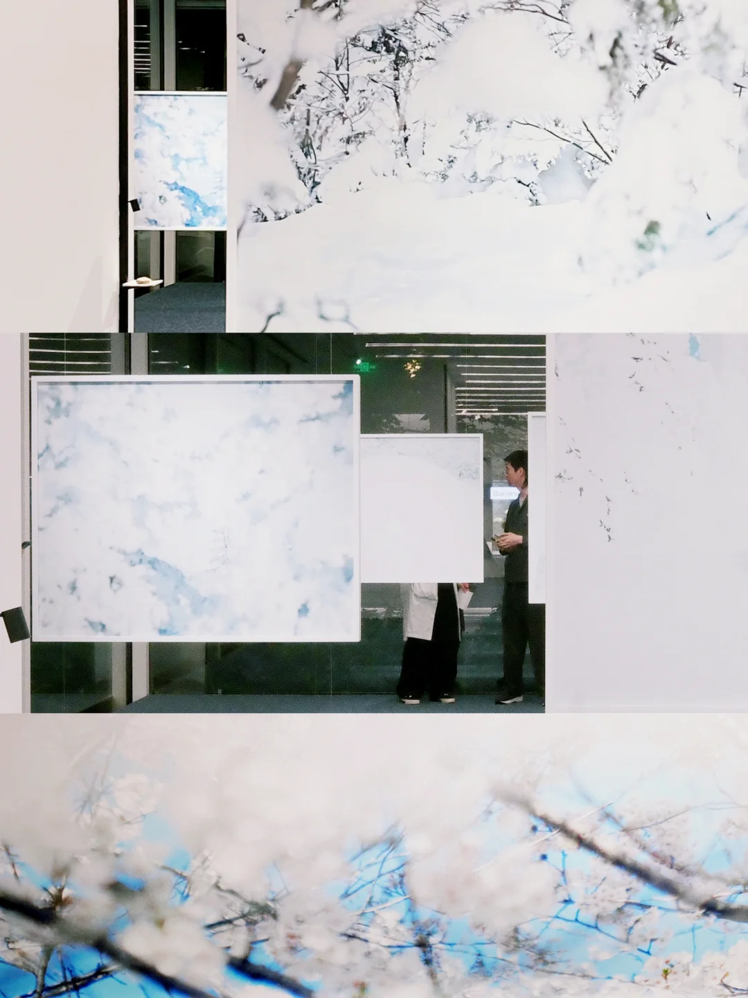 0元看展-上生新所·一面是樱花一面是雪花