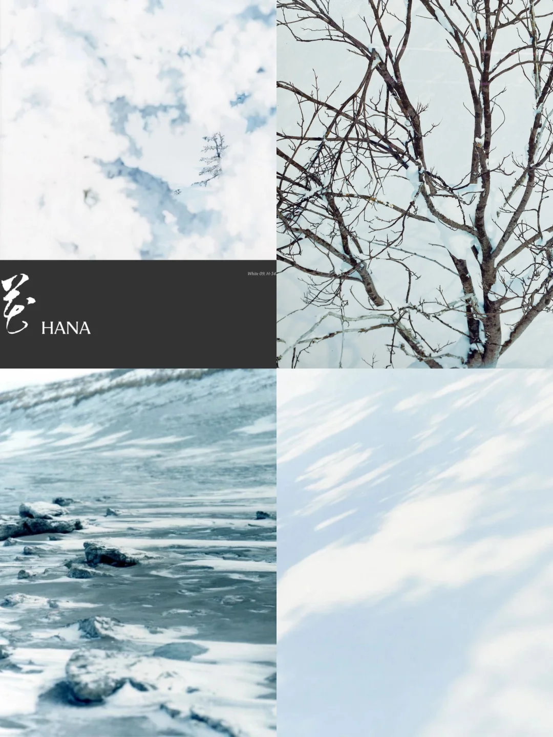 0元看展-上生新所·一面是樱花一面是雪花