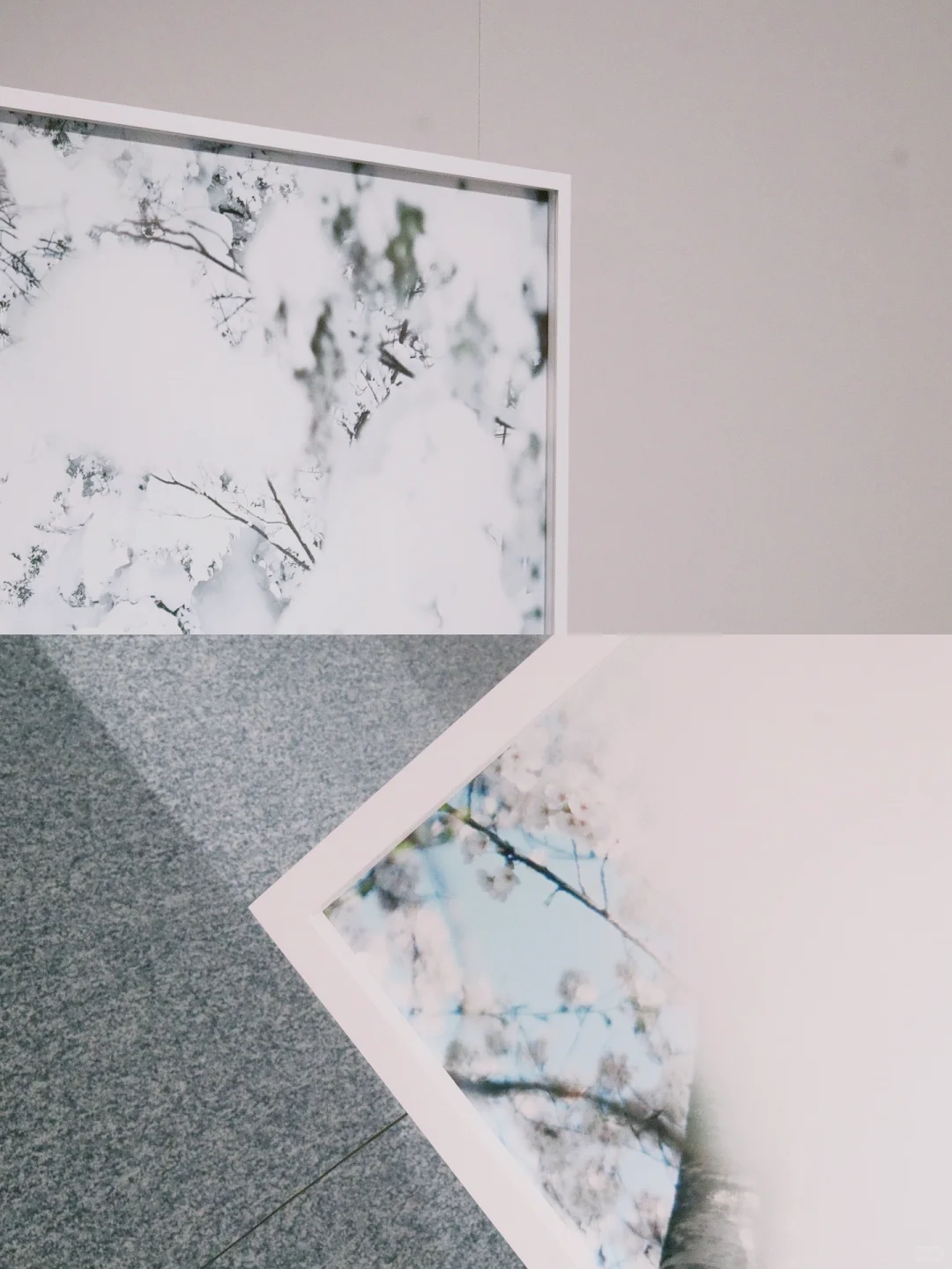 0元看展-上生新所·一面是樱花一面是雪花