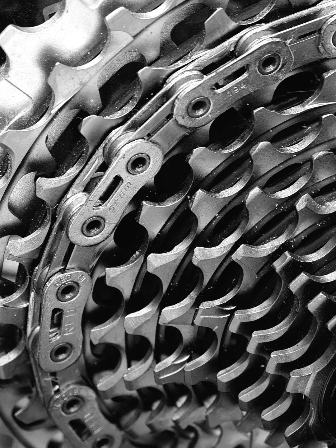 2025国际自行车展览会