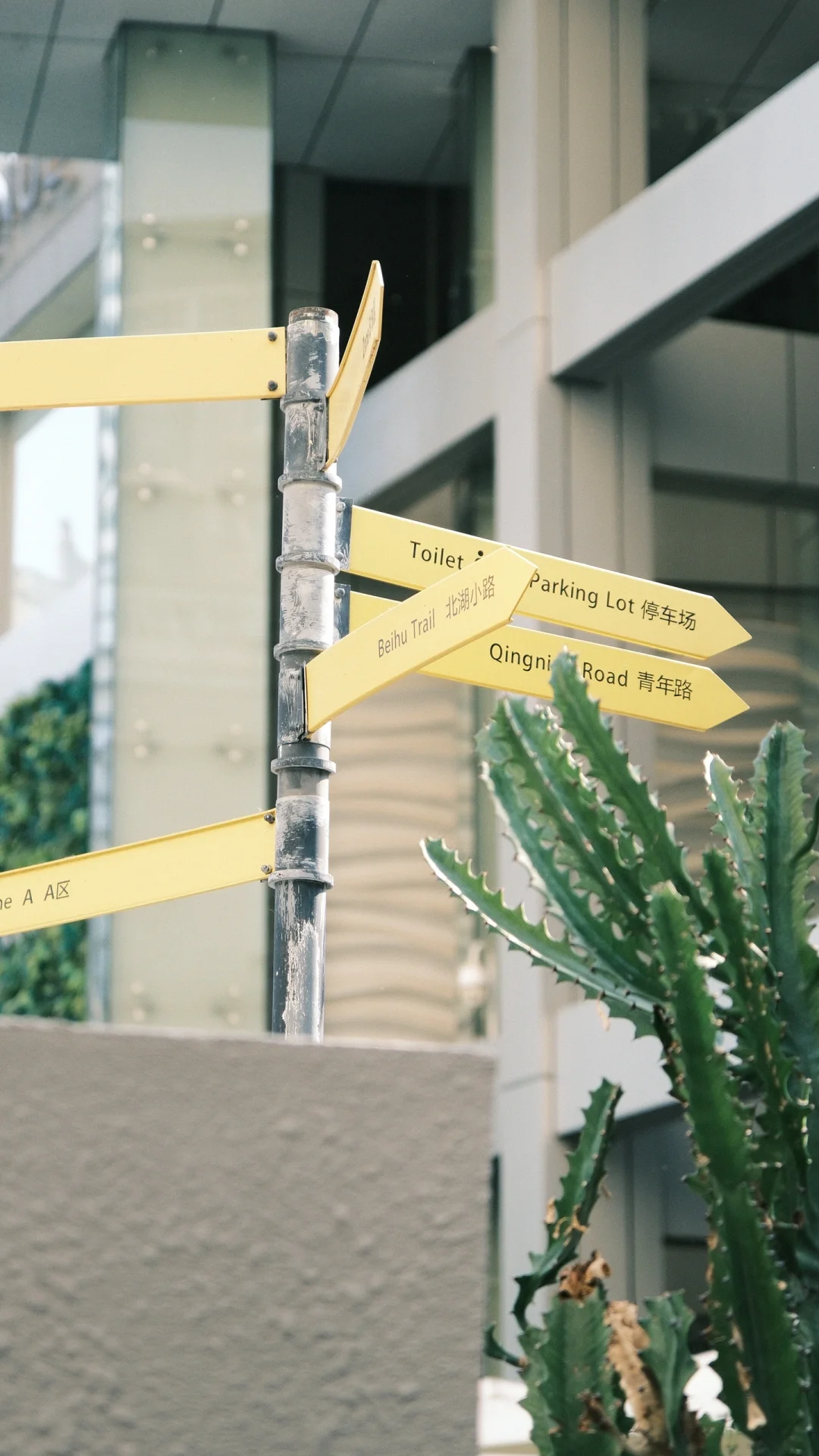 ?️?新展|五一来武汉,不看人头来看展?