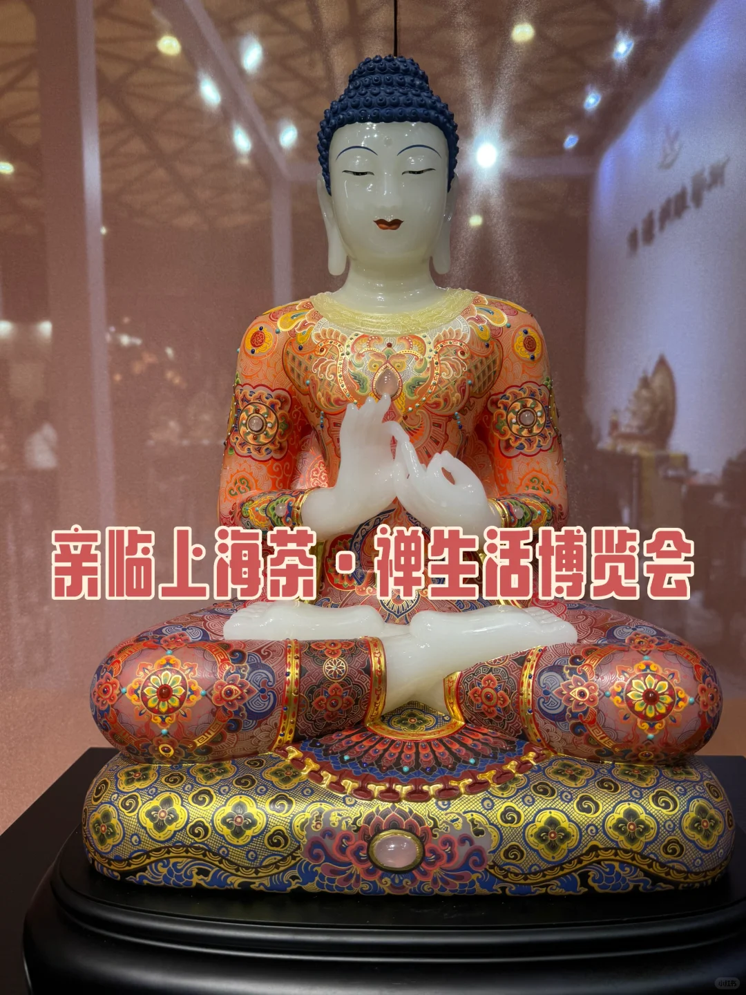 亲临上海茶·禅生活博览会